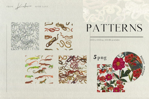Savannah Patterns – Vintage Summer Set: A Practical Asset for Designers and Creators